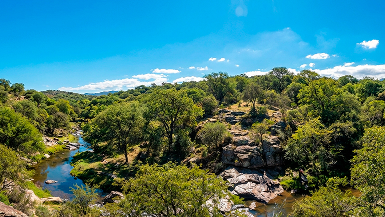 Estudios de impacto ambiental y gestión de permisos
